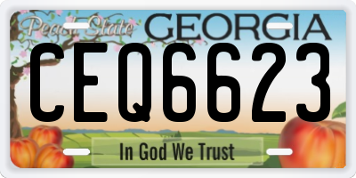 GA license plate CEQ6623