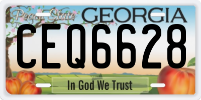GA license plate CEQ6628