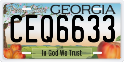 GA license plate CEQ6633