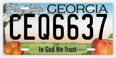 GA license plate CEQ6637