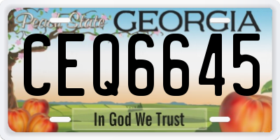 GA license plate CEQ6645