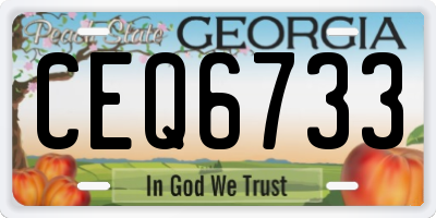 GA license plate CEQ6733