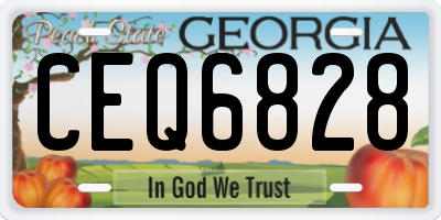 GA license plate CEQ6828