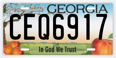 GA license plate CEQ6917