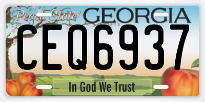 GA license plate CEQ6937