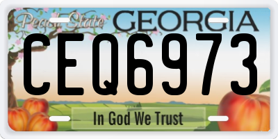 GA license plate CEQ6973