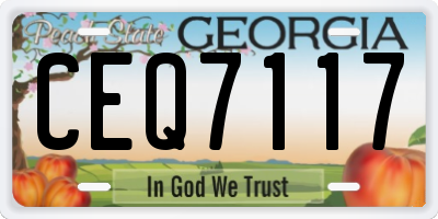 GA license plate CEQ7117