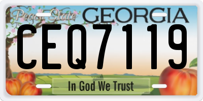GA license plate CEQ7119