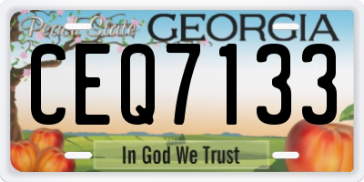 GA license plate CEQ7133
