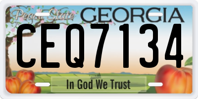 GA license plate CEQ7134