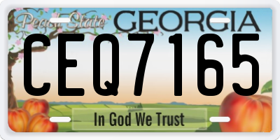 GA license plate CEQ7165