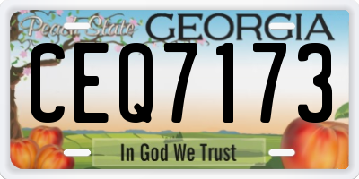 GA license plate CEQ7173