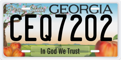 GA license plate CEQ7202