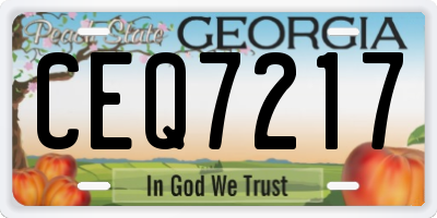 GA license plate CEQ7217