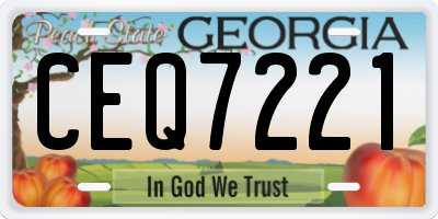 GA license plate CEQ7221