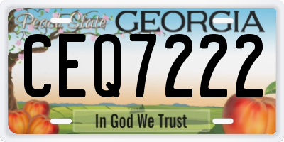 GA license plate CEQ7222