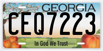 GA license plate CEQ7223