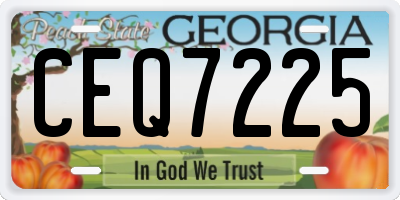 GA license plate CEQ7225