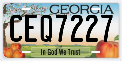 GA license plate CEQ7227