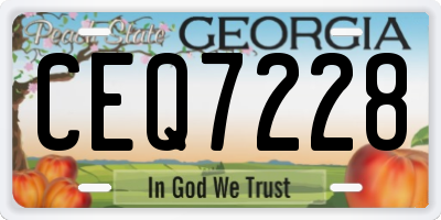 GA license plate CEQ7228