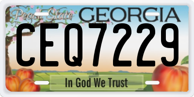 GA license plate CEQ7229