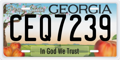 GA license plate CEQ7239