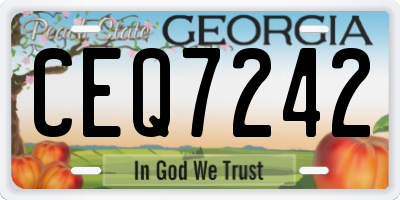 GA license plate CEQ7242