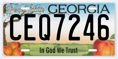 GA license plate CEQ7246