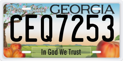 GA license plate CEQ7253