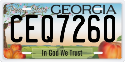 GA license plate CEQ7260