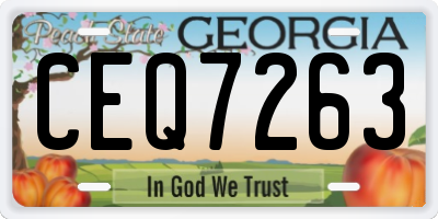 GA license plate CEQ7263