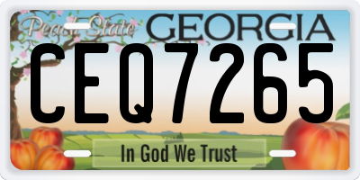 GA license plate CEQ7265
