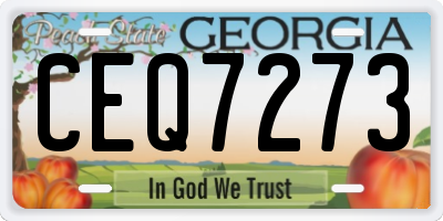 GA license plate CEQ7273