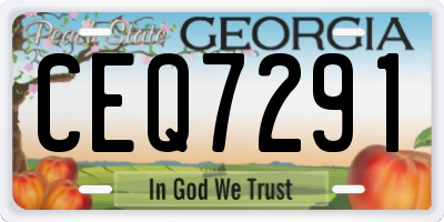 GA license plate CEQ7291