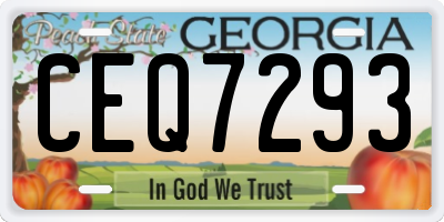 GA license plate CEQ7293