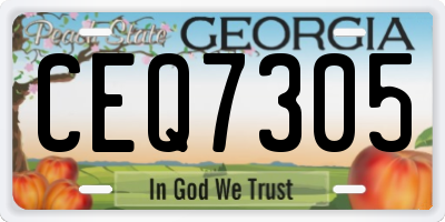 GA license plate CEQ7305