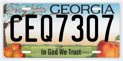 GA license plate CEQ7307
