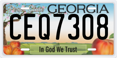 GA license plate CEQ7308