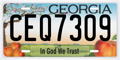 GA license plate CEQ7309