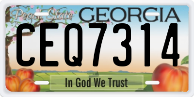 GA license plate CEQ7314