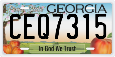 GA license plate CEQ7315