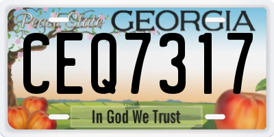 GA license plate CEQ7317