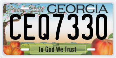 GA license plate CEQ7330