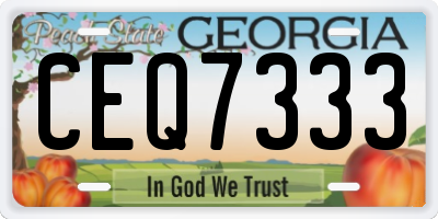 GA license plate CEQ7333