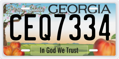 GA license plate CEQ7334