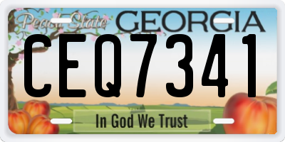 GA license plate CEQ7341