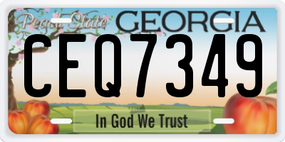 GA license plate CEQ7349