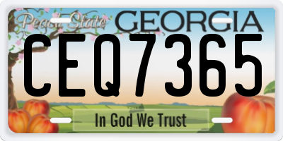 GA license plate CEQ7365