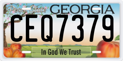 GA license plate CEQ7379