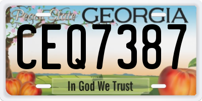 GA license plate CEQ7387